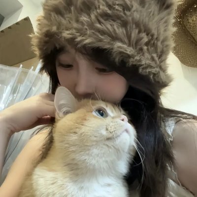 爱情森林