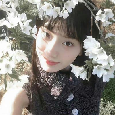 情摄大师